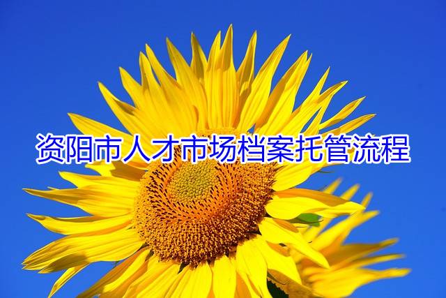 资阳市人才市场档案托管流程