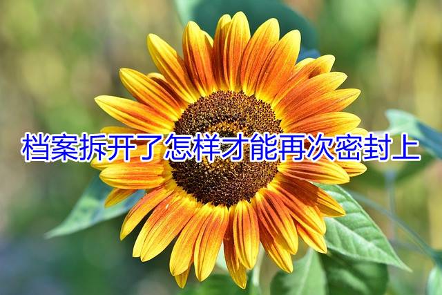 档案拆开了怎样才能再次密封上