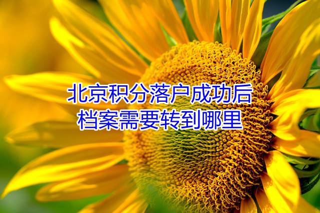 北京积分落户成功后档案需要转到哪里