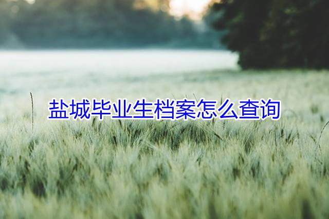 盐城毕业生档案怎么查询
