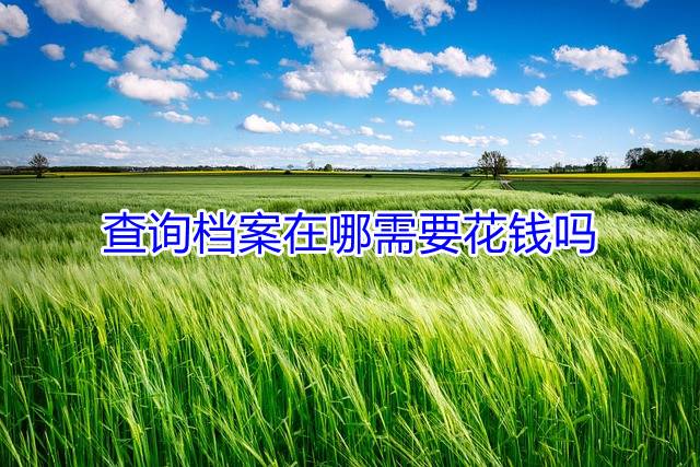查询档案在哪需要花钱吗