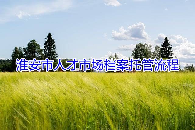 淮安市人才市场档案托管流程
