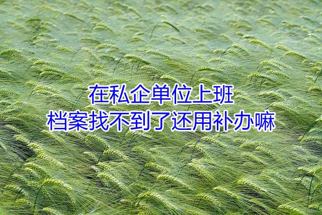 在私企单位上班档案找不到了还用补办嘛