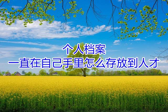 个人档案一直在自己手里怎么存放到人才