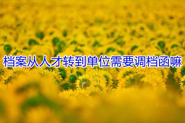 档案从人才转到单位需要调档函嘛