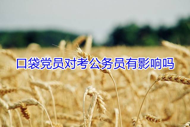 口袋党员对考公务员有影响吗