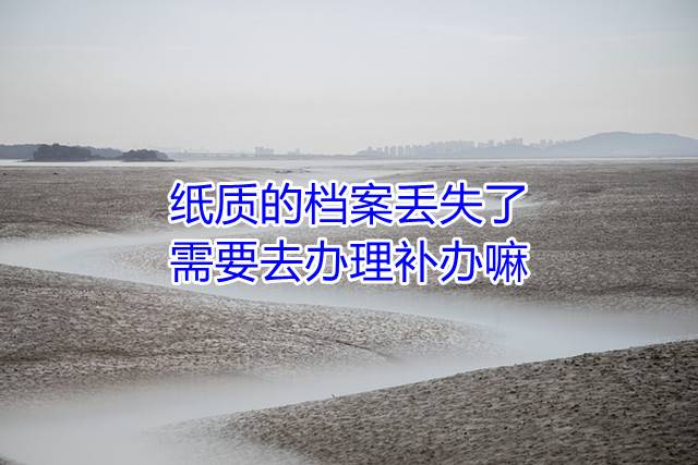纸质的档案丢失了需要去办理补办嘛