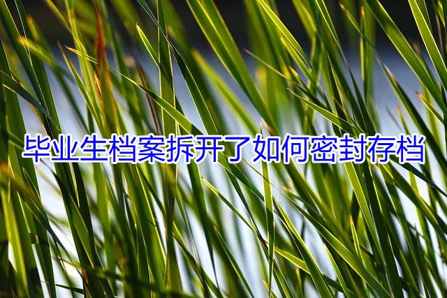 毕业生档案拆开了如何密封存档