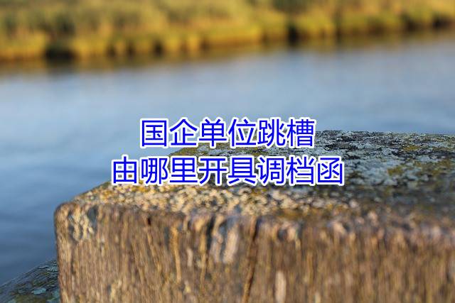国企单位跳槽，由哪里开具调档函