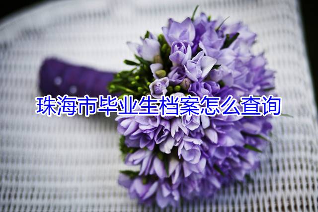 珠海市毕业生档案怎么查询