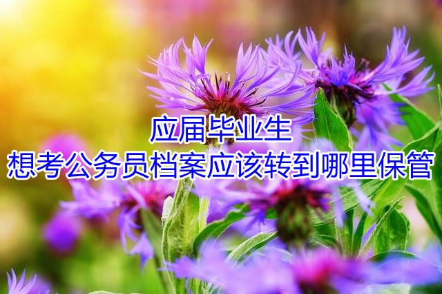 应届毕业生想考公务员档案应该转到哪里保管