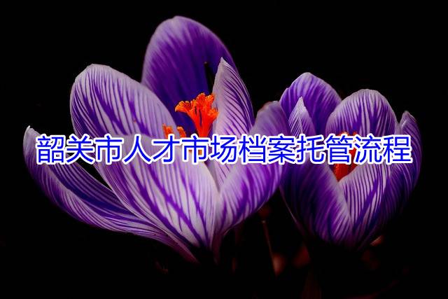 韶关市人才市场档案托管流程