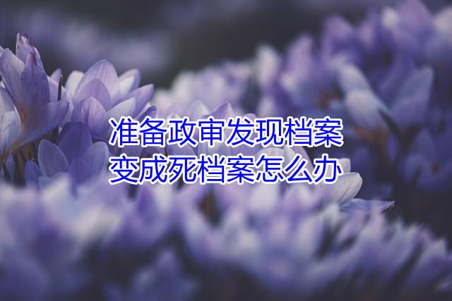 准备政审发现档案变成死档案怎么办