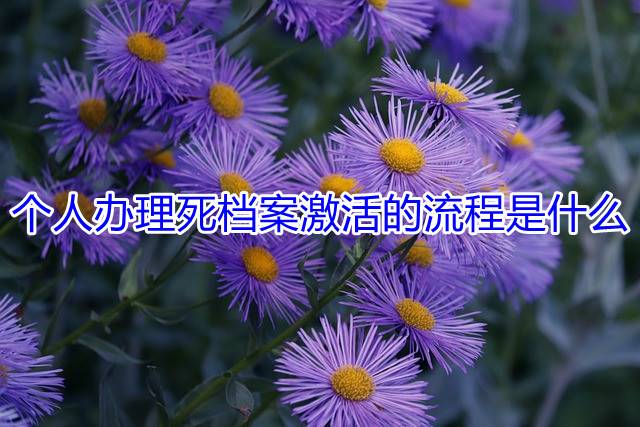 个人办理死档案激活的流程是什么