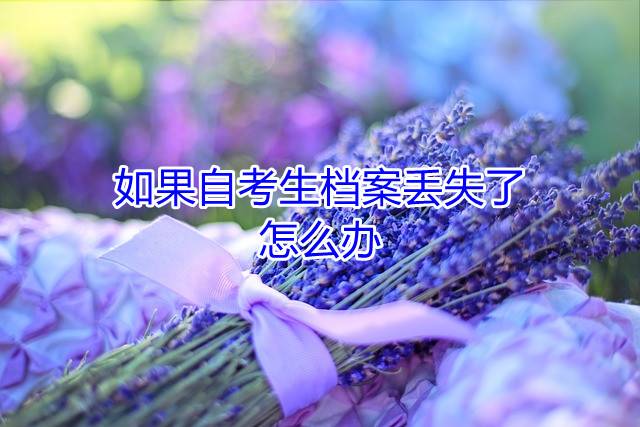 如果自考生档案丢失了，怎么办