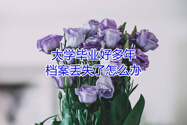 大学毕业好多年，档案丢失了怎么办