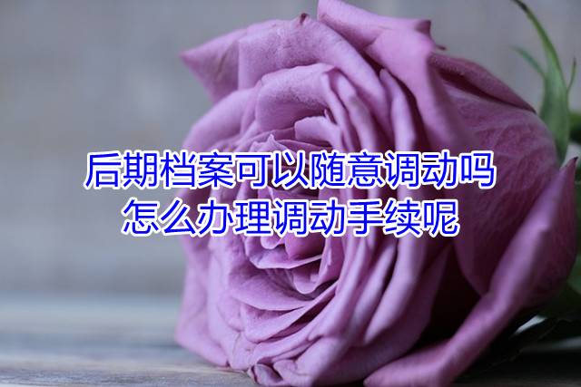 后期档案可以随意调动吗，怎么办理调动手续呢