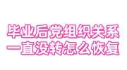 毕业后党组织关系一直没转，这种怎么恢复党籍