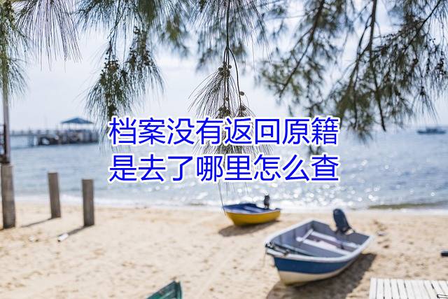 档案没有返回原籍是去了哪里怎么查