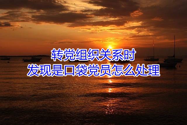 转党组织关系时发现是口袋党员怎么处理