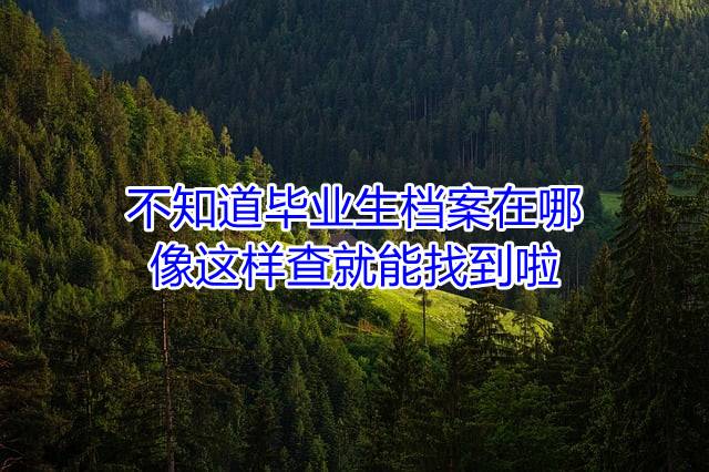 不知道毕业生档案在哪，像这样查就能找到啦