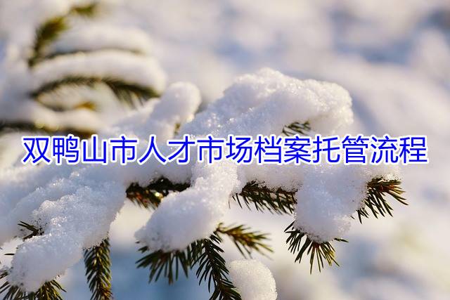 双鸭山市人才市场档案托管流程