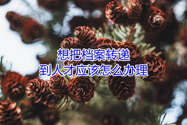 想把档案转递到人才应该怎么办理