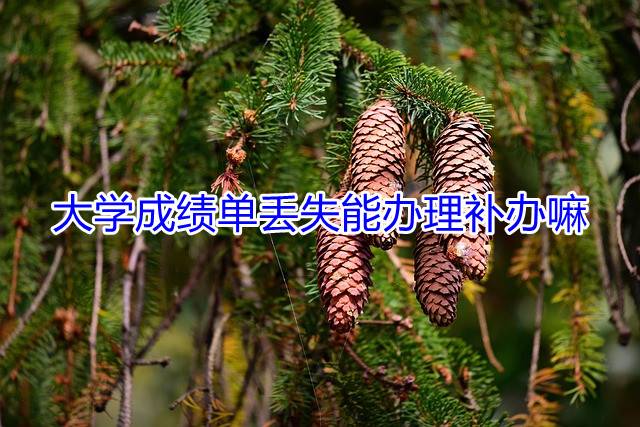大学成绩单丢失能办理补办嘛