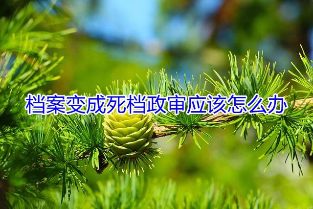 档案变成死档政审应该怎么办
