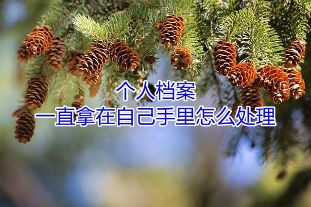 个人档案一直拿在自己手里怎么处理