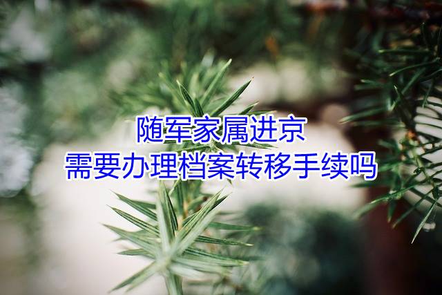 随军家属进京，需要办理档案转移手续吗