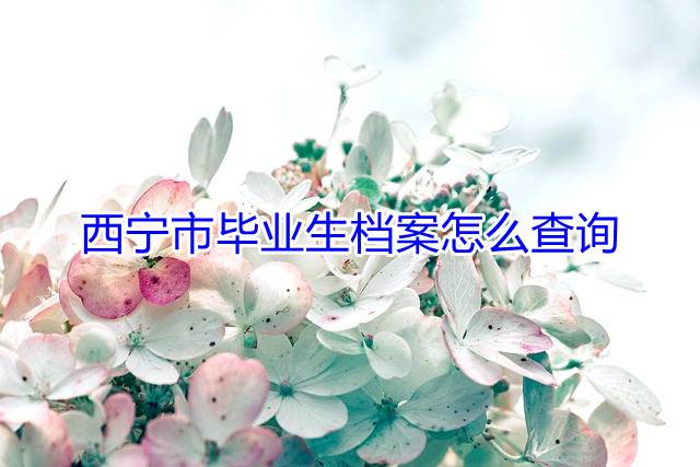 西宁市毕业生档案怎么查询