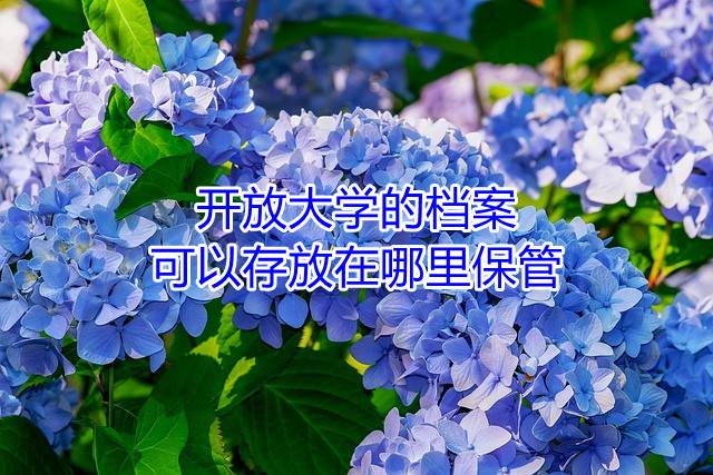 开放大学的档案可以存放在哪里保管