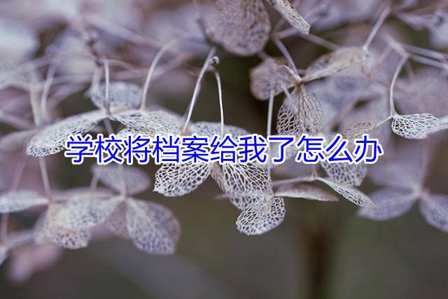 学校将档案给我了怎么办