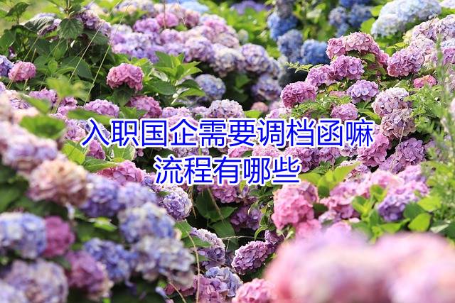 入职国企需要调档函嘛，流程有哪些