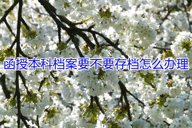 函授本科档案要不要存档怎么办理