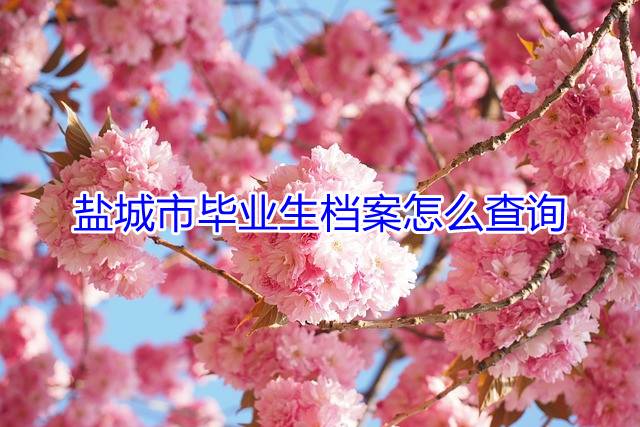 盐城市毕业生档案怎么查询