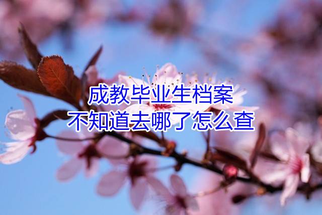 成教毕业生档案不知道去哪了怎么查