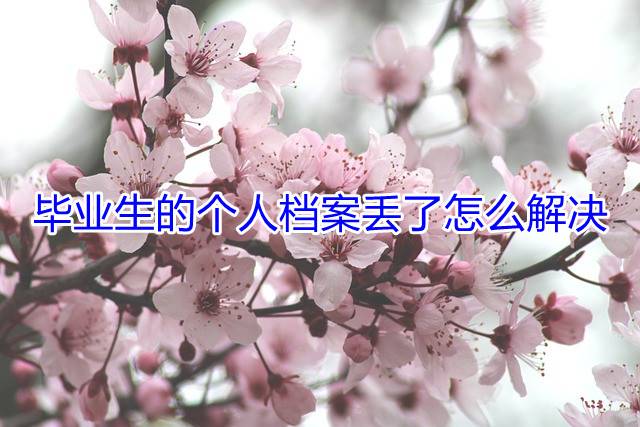 毕业生的个人档案丢了怎么解决