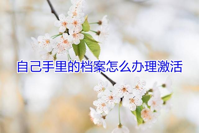 自己手里的档案怎么办理激活