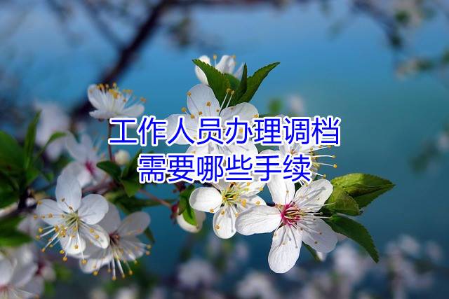 工作人员办理调档，需要哪些手续