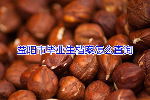 益阳市毕业生档案怎么查询