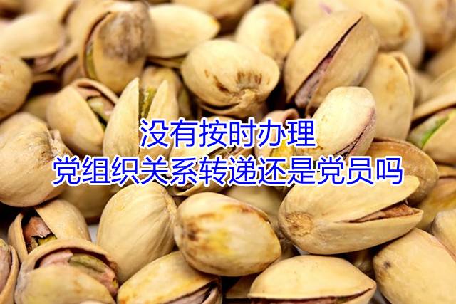没有按时办理党组织关系转递还是党员吗