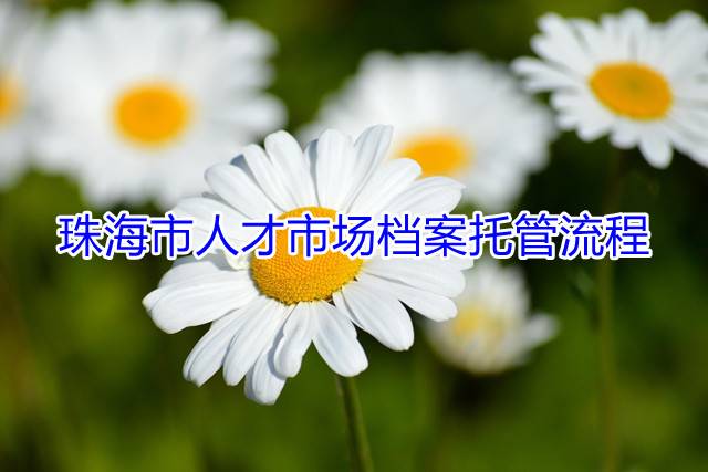 珠海市人才市场档案托管流程