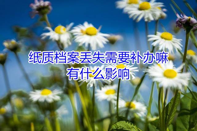 纸质档案丢失需要补办嘛，有什么影响