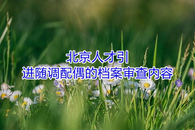 北京人才引进随调配偶的档案审查内容