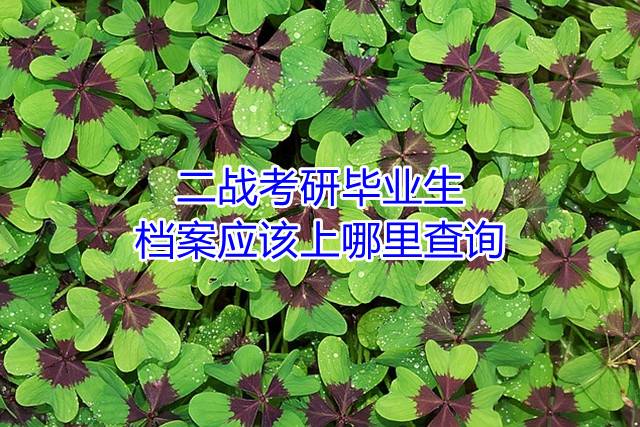 二战考研毕业生档案应该上哪里查询