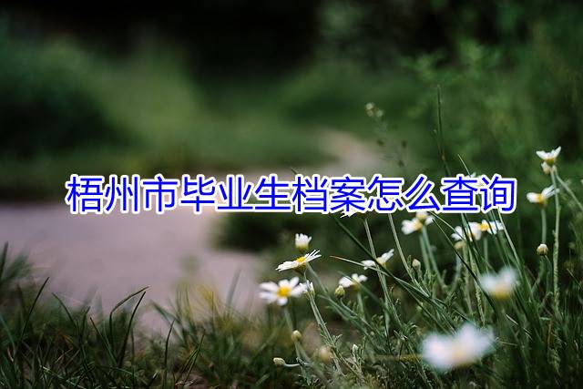 梧州市毕业生档案怎么查询