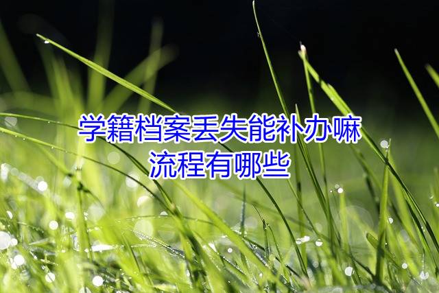 学籍档案丢失能补办嘛，流程有哪些