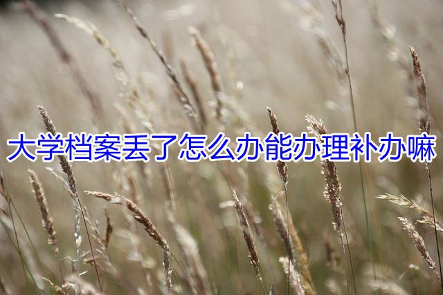大学档案丢了怎么办能办理补办嘛